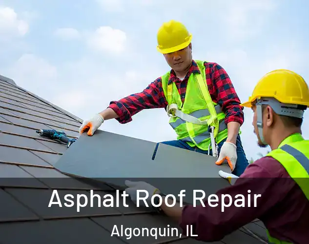  Asphalt Roof Repair Algonquin, IL
