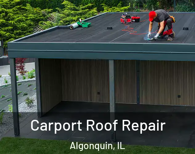  Carport Roof Repair Algonquin, IL