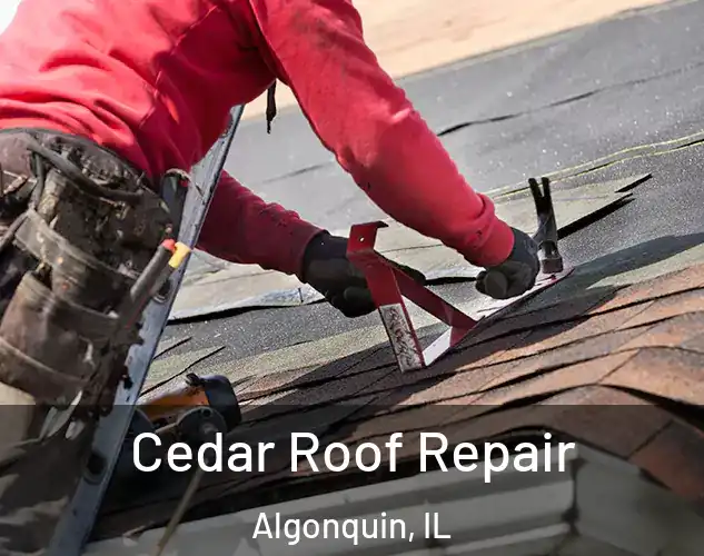  Cedar Roof Repair Algonquin, IL