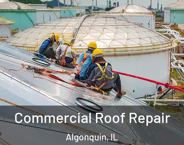 Commercial Roof Repair Algonquin, IL