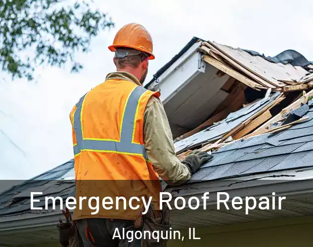  Emergency Roof Repair Algonquin, IL