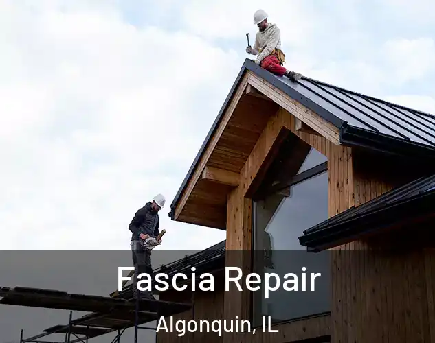  Fascia Repair Algonquin, IL