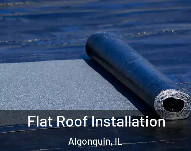  Flat Roof Installation Algonquin, IL