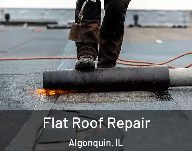  Flat Roof Repair Algonquin, IL