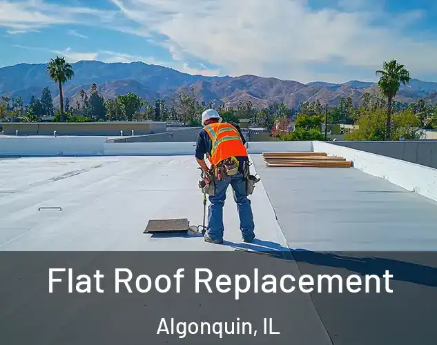  Flat Roof Replacement Algonquin, IL