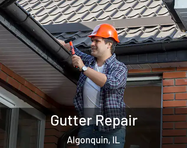  Gutter Repair Algonquin, IL