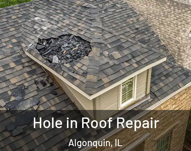  Hole in Roof Repair Algonquin, IL