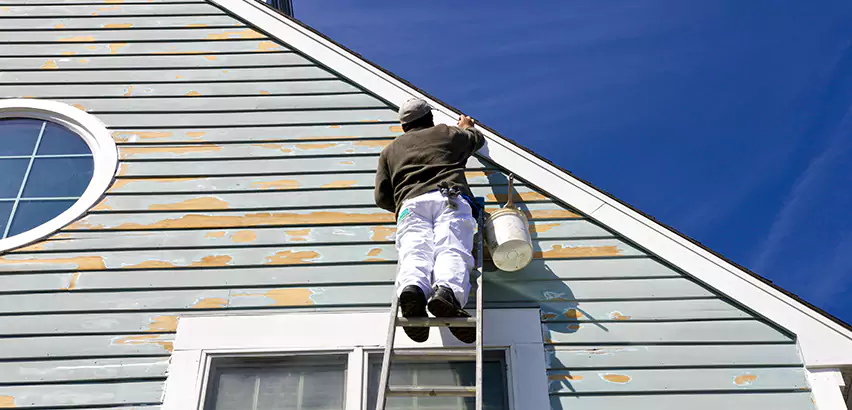 Professional Roof and Siding Repair Services in Algonquin, IL