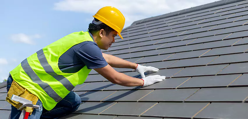 Dimensional Shingle Installation in Algonquin