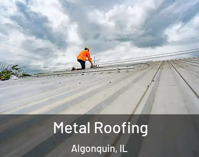  Metal Roofing Algonquin, IL