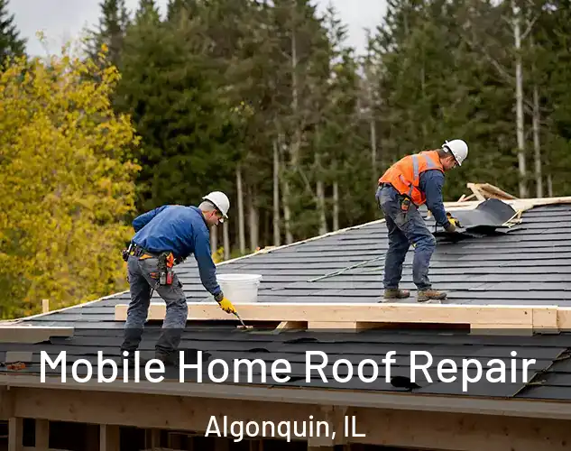  Mobile Home Roof Repair Algonquin, IL