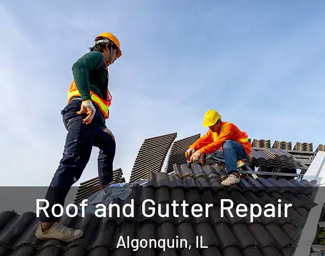  Roof and Gutter Repair Algonquin, IL