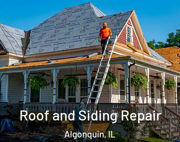  Roof and Siding Repair Algonquin, IL