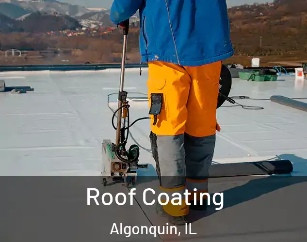  Roof Coating Algonquin, IL