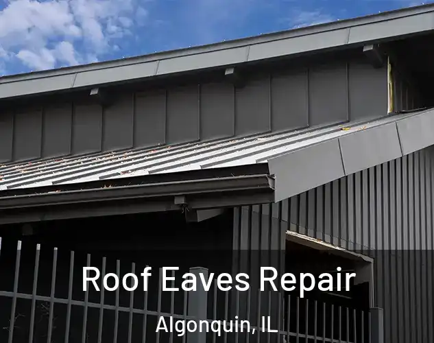  Roof Eaves Repair Algonquin, IL