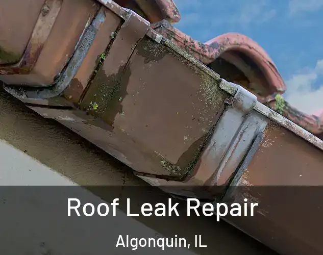  Roof Leak Repair Algonquin, IL
