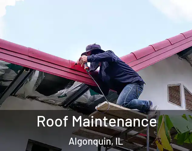  Roof Maintenance Algonquin, IL