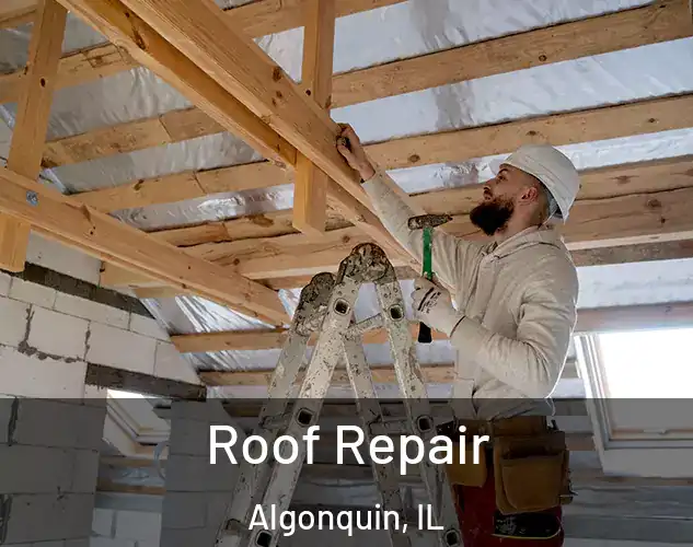  Roof Repair Algonquin, IL