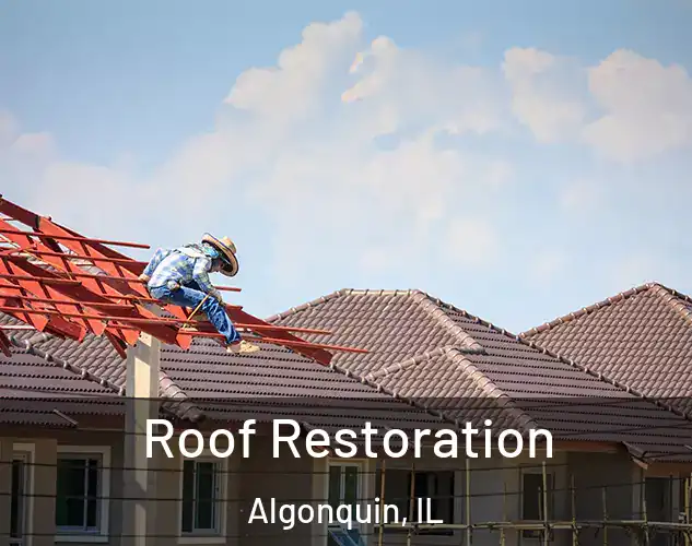  Roof Restoration Algonquin, IL