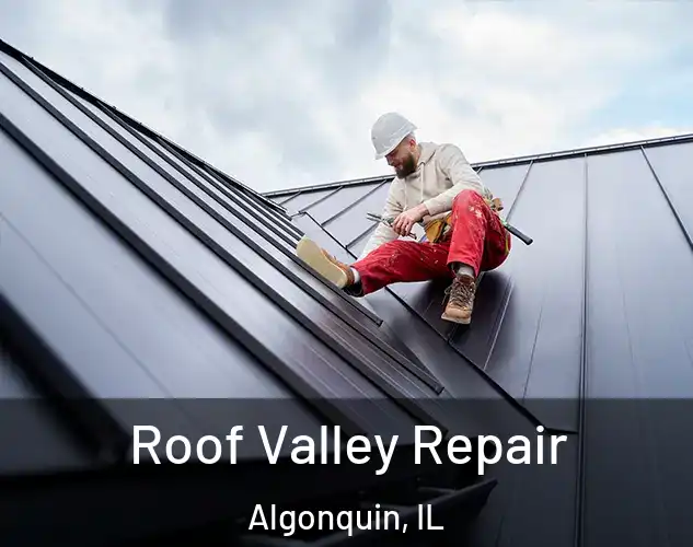  Roof Valley Repair Algonquin, IL