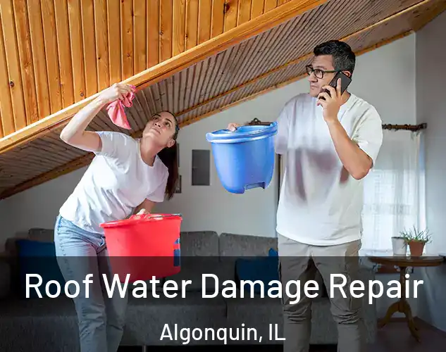  Roof Water Damage Repair Algonquin, IL