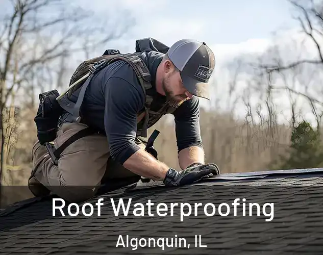  Roof Waterproofing Algonquin, IL