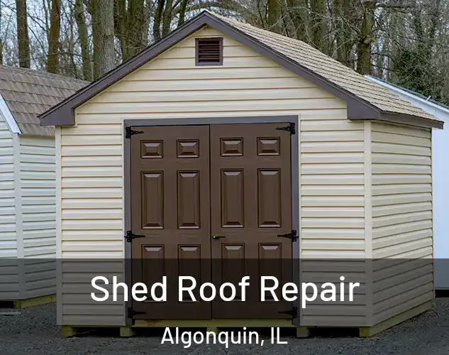 Shed Roof Repair Algonquin, IL