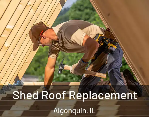  Shed Roof Replacement Algonquin, IL