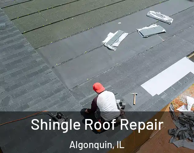  Shingle Roof Repair Algonquin, IL