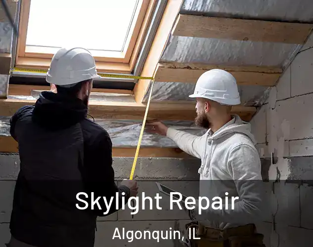  Skylight Repair Algonquin, IL