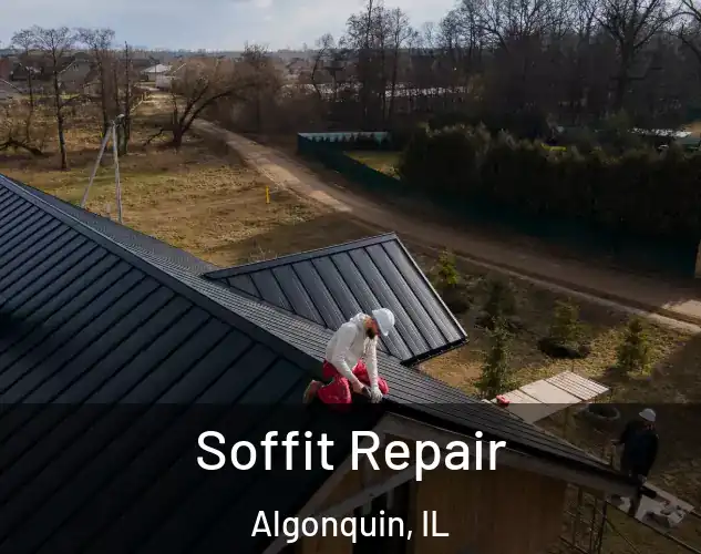  Soffit Repair Algonquin, IL