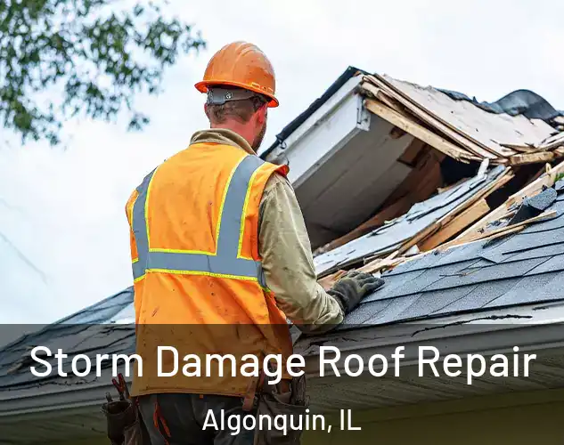  Storm Damage Roof Repair Algonquin, IL