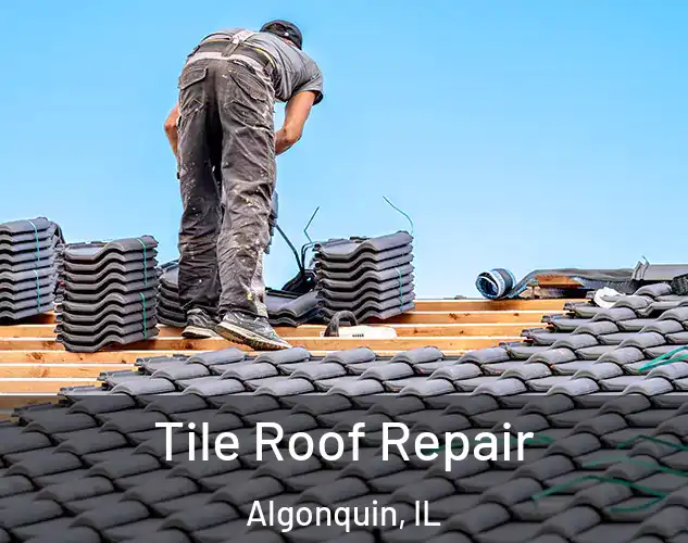  Tile Roof Repair Algonquin, IL