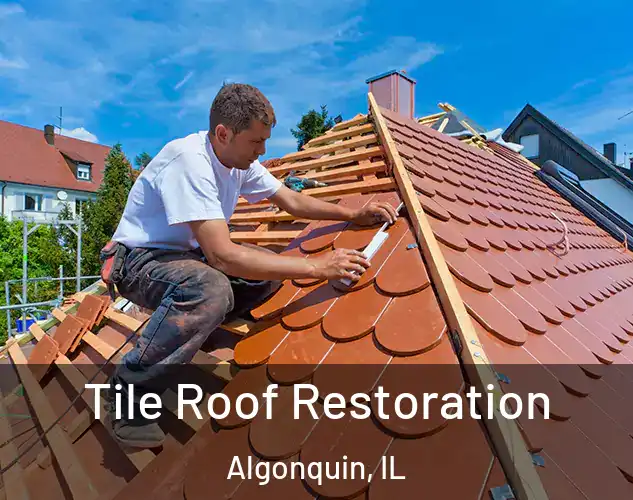  Tile Roof Restoration Algonquin, IL
