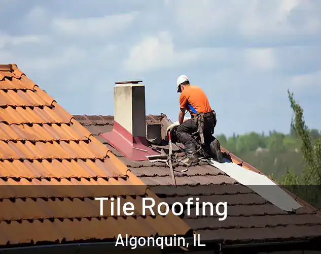 Tile Roofing Algonquin, IL