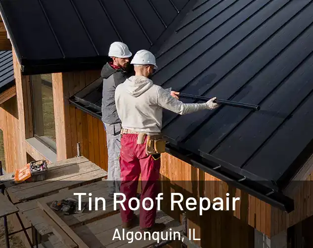  Tin Roof Repair Algonquin, IL