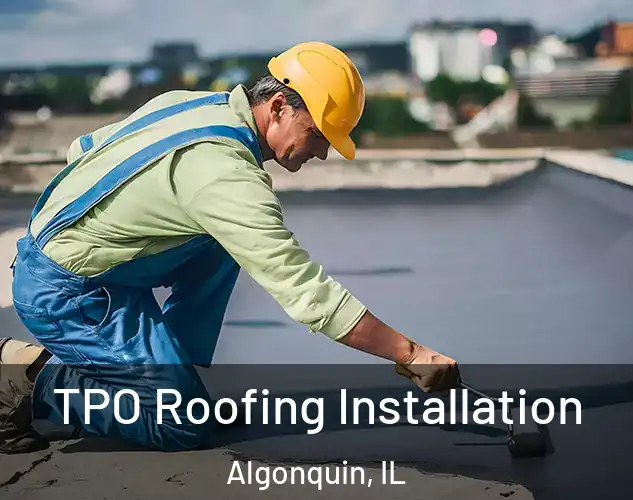  TPO Roofing Installation Algonquin, IL