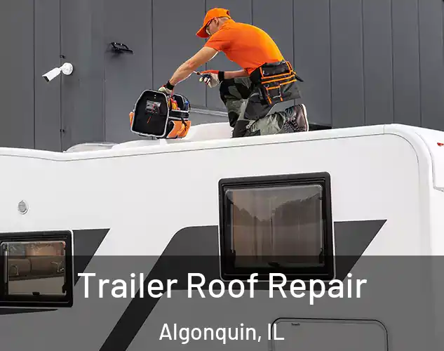  Trailer Roof Repair Algonquin, IL